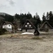 もも