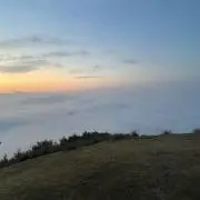 つばさの画像