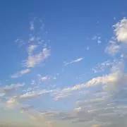 はる