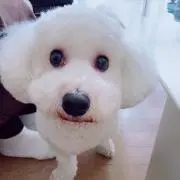 R娘さんの画像