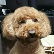 rh0726の画像