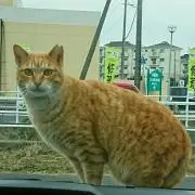 Lucky