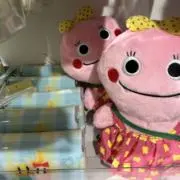 シーサー！！！の画像