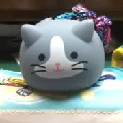 水わどの画像