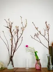はなよな。プロフ確認の御協力お願いしますの画像