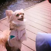 marioooo