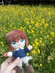 Mayの画像