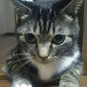 マルさん