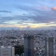 めの画像