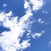 aapaの画像