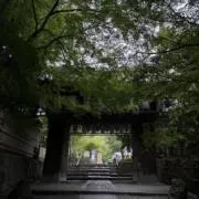 mm7_boyの画像