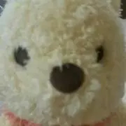 みる＊おまとめ歓迎ですの画像