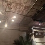颯の画像