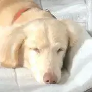 けみの画像