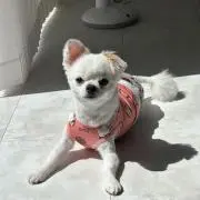金無しの画像