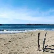 んての画像