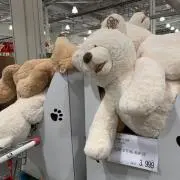 いわき
