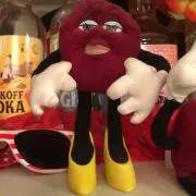 Rocoの画像