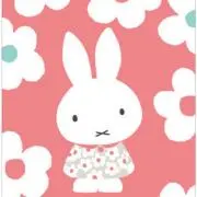 くるみの画像