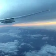 えぬの画像