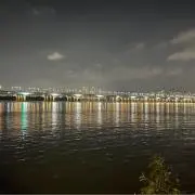 Shinの画像