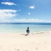 M.Sの画像