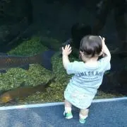 たらもちゃん☆再販予定*゜