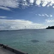 39番の画像