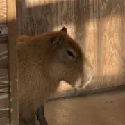 うちゅーの画像
