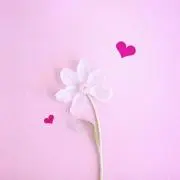ゆめ＊°・の画像