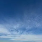 ぽこの画像