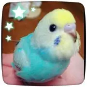 なもの画像