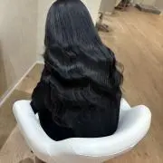 sapi.の画像