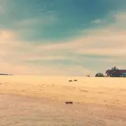 Eの画像
