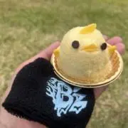 だいちゃんの画像