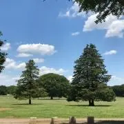 あひるこの画像