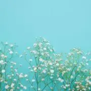 さちの画像