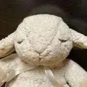 まっちゃんの画像