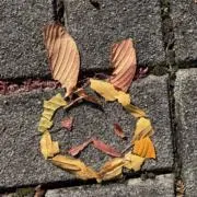 ゆーすの画像