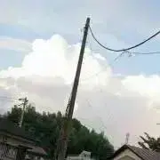 ぽんの画像