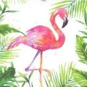 ふらみンゴ