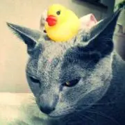 チェリたんの画像