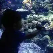 mYUTAの画像