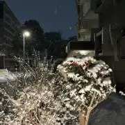 営業コーチの画像