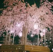 のんちきしん