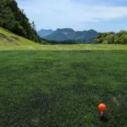 もりーの画像