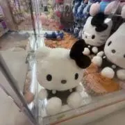のんぴこの画像