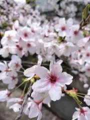 ヒロ◎自己紹介確認お願いします♪