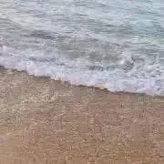 ぽん酢の画像