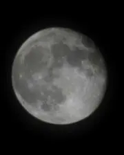 T Yの画像